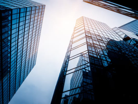 Commercial Expertise