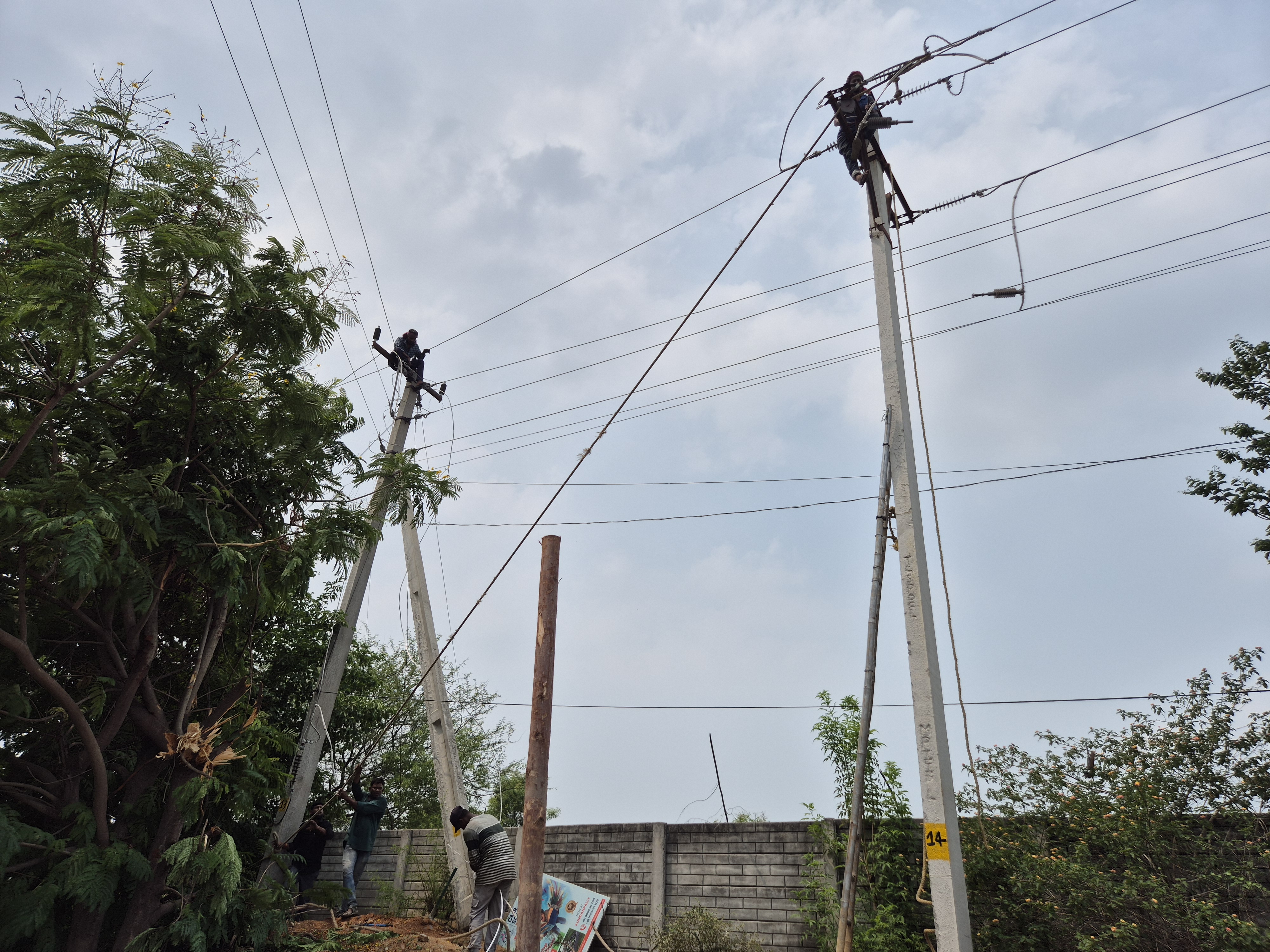 Men Working on Pole