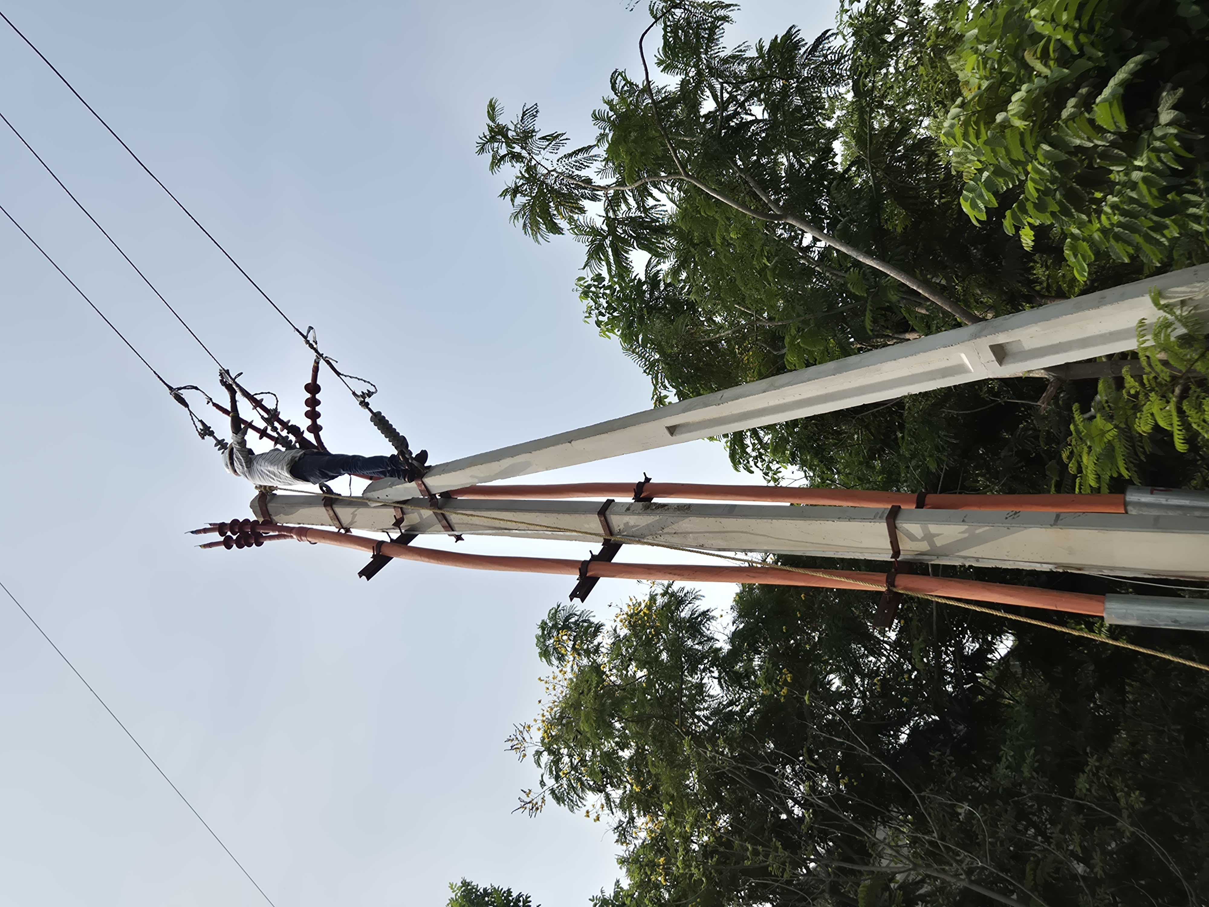 Men Working on Pole