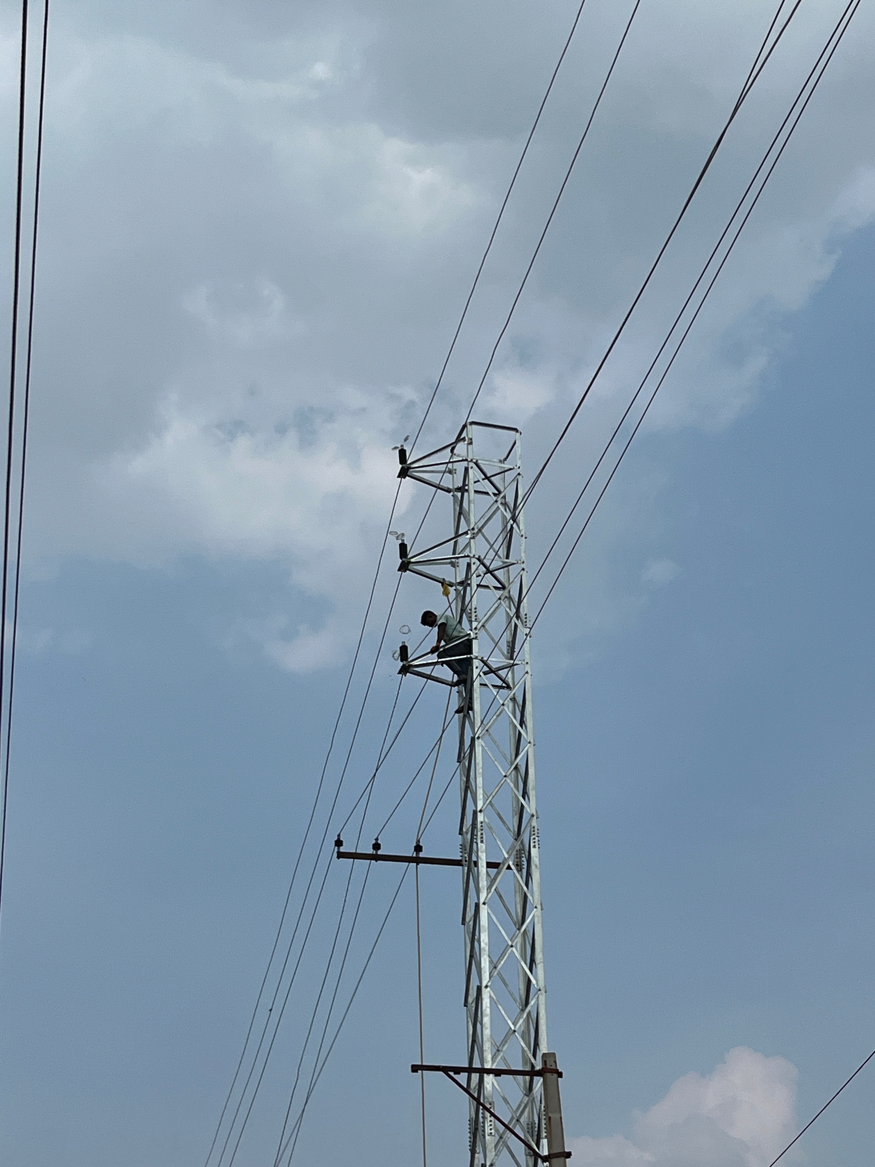 Installation of Insulators on Tower
